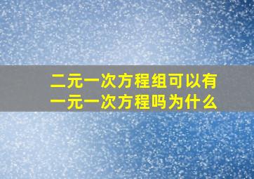 二元一次方程组可以有一元一次方程吗为什么