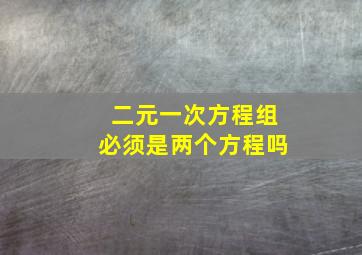 二元一次方程组必须是两个方程吗