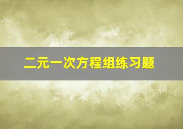 二元一次方程组练习题