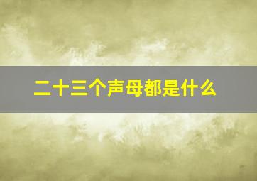 二十三个声母都是什么