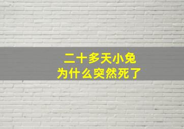 二十多天小兔为什么突然死了