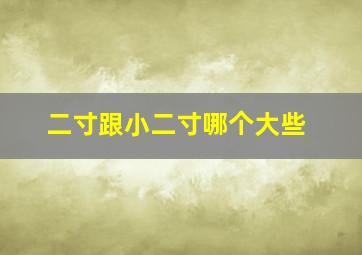 二寸跟小二寸哪个大些