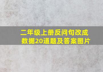 二年级上册反问句改成数据20道题及答案图片