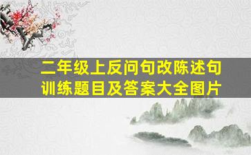 二年级上反问句改陈述句训练题目及答案大全图片