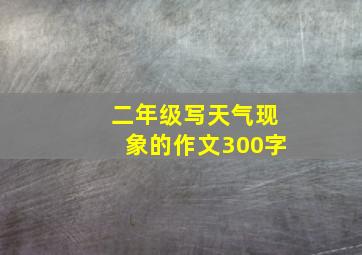 二年级写天气现象的作文300字