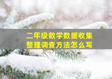 二年级数学数据收集整理调查方法怎么写