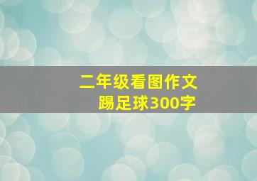 二年级看图作文踢足球300字