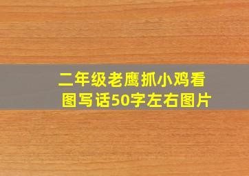 二年级老鹰抓小鸡看图写话50字左右图片