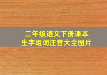 二年级语文下册课本生字组词注音大全图片