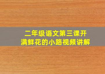 二年级语文第三课开满鲜花的小路视频讲解