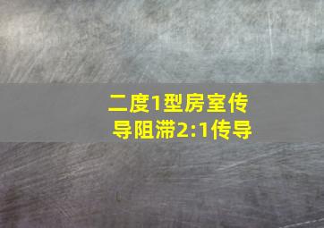 二度1型房室传导阻滞2:1传导