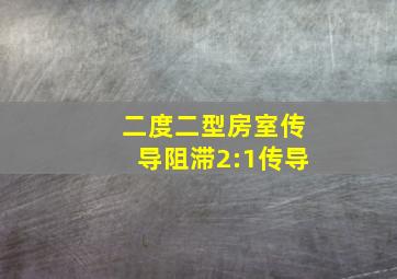 二度二型房室传导阻滞2:1传导