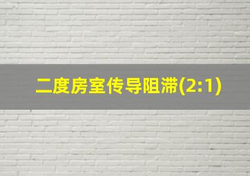 二度房室传导阻滞(2:1)