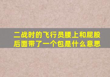 二战时的飞行员腰上和屁股后面带了一个包是什么意思