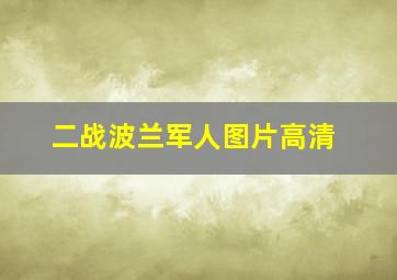 二战波兰军人图片高清