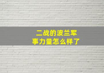 二战的波兰军事力量怎么样了