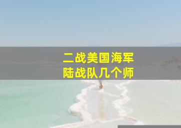 二战美国海军陆战队几个师