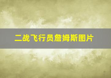 二战飞行员詹姆斯图片