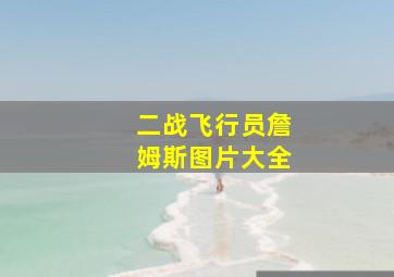 二战飞行员詹姆斯图片大全