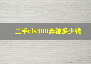 二手cls300奔驰多少钱