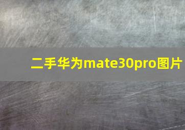 二手华为mate30pro图片