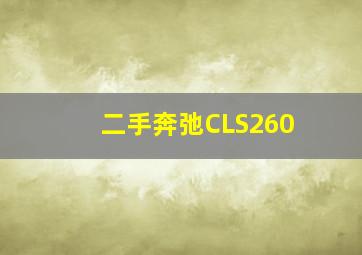 二手奔弛CLS260