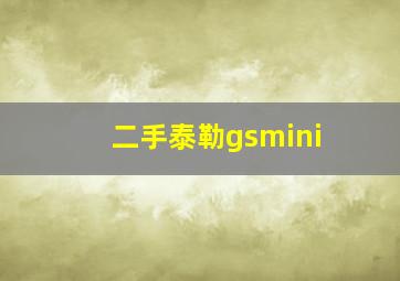 二手泰勒gsmini