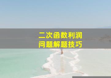 二次函数利润问题解题技巧