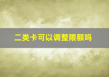 二类卡可以调整限额吗