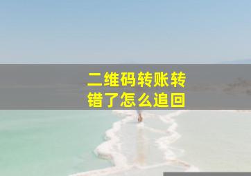 二维码转账转错了怎么追回