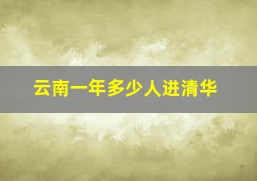 云南一年多少人进清华