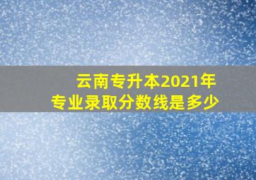 云南专升本2021年专业录取分数线是多少