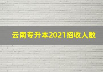 云南专升本2021招收人数