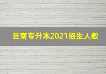 云南专升本2021招生人数