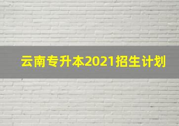 云南专升本2021招生计划