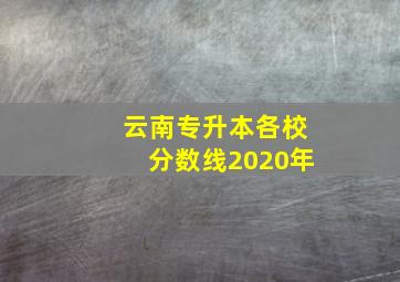 云南专升本各校分数线2020年