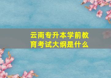 云南专升本学前教育考试大纲是什么