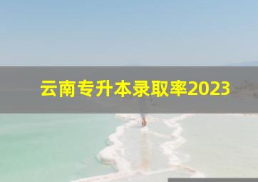 云南专升本录取率2023