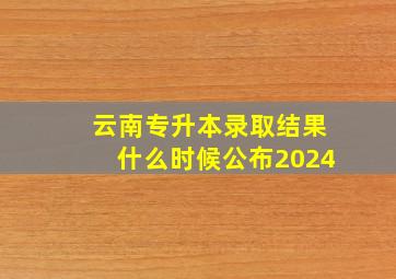 云南专升本录取结果什么时候公布2024