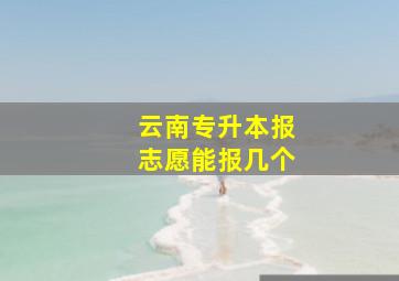 云南专升本报志愿能报几个