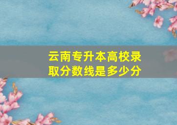 云南专升本高校录取分数线是多少分