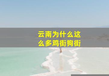 云南为什么这么多鸡街狗街