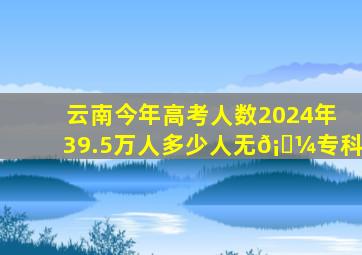 云南今年高考人数2024年39.5万人多少人无𡟼专科