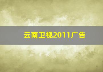 云南卫视2011广告