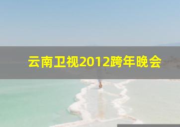 云南卫视2012跨年晚会