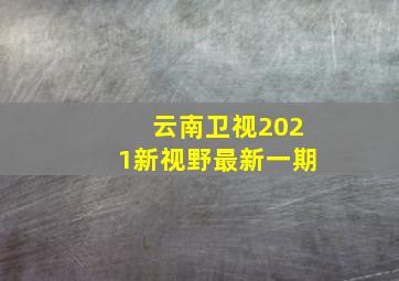 云南卫视2021新视野最新一期