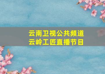 云南卫视公共频道云岭工匠直播节目