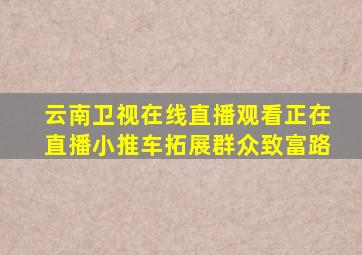 云南卫视在线直播观看正在直播小推车拓展群众致富路