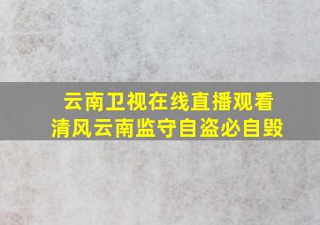 云南卫视在线直播观看清风云南监守自盗必自毁