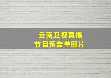 云南卫视直播节目预告单图片